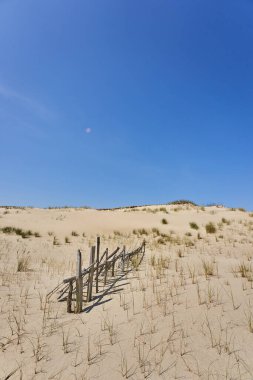 Litvanya kum tepeleri, kumlu çimenler ve açık gökyüzü. Yüksek kalite fotoğraf