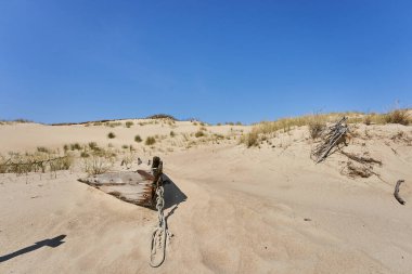 Lithuanian dunes sandy grass and clear sky. High quality photo clipart