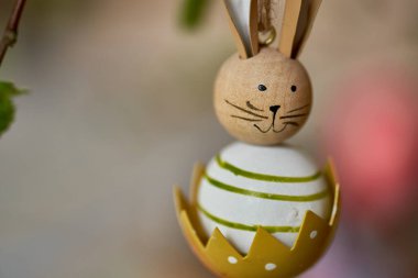 Paskalya tavşanı süslemesi dalda asılı. Yüksek kalite fotoğraf
