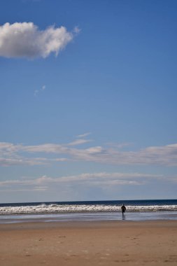 İnsanlar plajda rahatlama oyunu oynuyorlar. Yüksek kalite fotoğraf