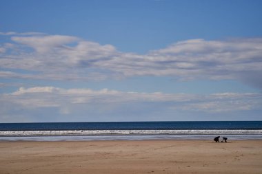 İnsanlar plajda rahatlama oyunu oynuyorlar. Yüksek kalite fotoğraf