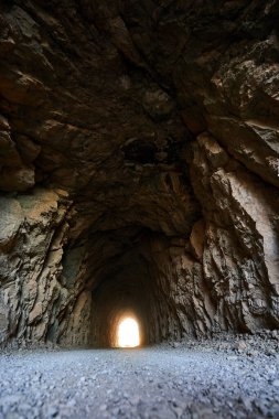 İspanya Endülüs baharı, yalnız ağaç dağlarının etrafını sarar. Yüksek kaliteli fotoğraf.