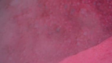 Frenk üzümü reçeli için pembe köpük. Frenk üzümü bir tencerede şekerle kaynatılır. En lezzetli ev yapımı frenk üzümü reçeli. Köpük üzerine yumuşak seçici odaklanma. Yüksek kaliteli FullHD görüntüler