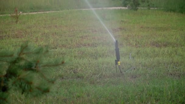 Grass Irrigation Garden Irrigation Sprinkler Watering Lawn Video Your Project — Stock Video