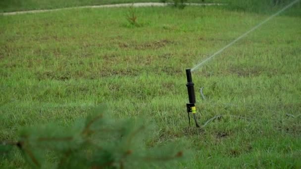 Irrigazione Dell Erba Giardino Irrigazione Irrigatore Irrigazione Prato Video Tuo — Video Stock
