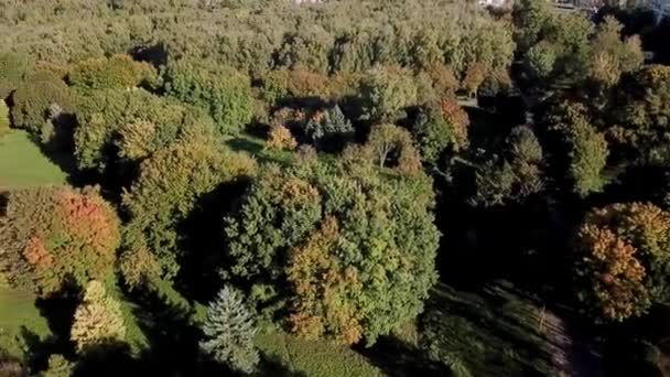 Vista Aérea Volando Sobre Viejo Parcheado Carretera Forestal Dos Carriles — Vídeo de stock