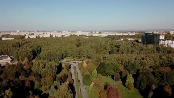 Eski Iki Şerit Üzerinde Uçan Hava Manzarası Iki Şeritli Orman — Stok video