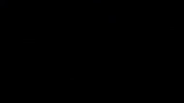 Zenginliği, karı, ikramiyeyi, dijital para birimini veya finansal başarıyı temsil eden dolar işaretli parlak altın sikkelerin animasyon patlaması