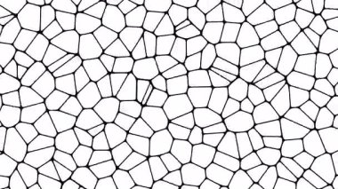 Organik hücreleri ya da taş kaldırımı andıran düzensiz çokgen şekillerin kusursuz soyut deseni, beyaz arka planda siyah çizgilerle oluşturulmuştur.