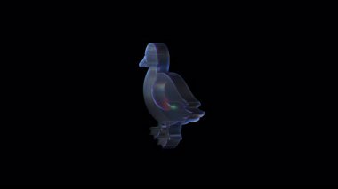 Cam ördek yavaşça dönüyor, yansıtıcı ışıkla yanardöner yüzeyi ortaya çıkarıyor ve arka planda karanlık minimum arkaplan karşısında ince gölgeler oluşuyor.