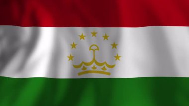 Canlı Tacikistan ulusal bayrağı nazikçe sallanıyor, yumuşak arka planda narin yaprak gölgeleri bırakıyor, ulusal gurur ve kültür mirasını sembolize ediyor