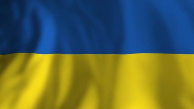 Ukrayna ulusal bayrağı yavaşça sallanıyor, beyaz arkaplana karşı sembolik hareketi yakalıyor, vatansever renkleri ve ulusal gururu pürüzsüz animasyon dizisinde yansıtıyor