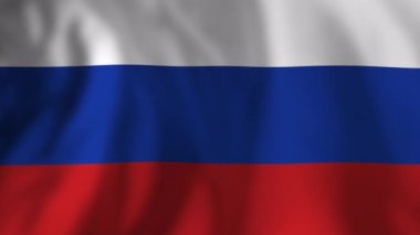 Nazikçe dalgalanan Rus ulusal bayrağı, canlı mavi, beyaz, kırmızı üç renkli, nötr arkaplana karşı pürüzsüz ve kusursuz bir senkronizasyonla hareket ediyor.