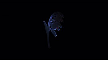 Narin BlueBell çiçeği yavaşça dönüyor, derin siyah stüdyo arka planına karşı karmaşık botanik detaylarını ortaya çıkarıyor, doğal güzelliği ve zarif hareketi sergiliyor.