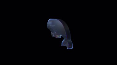 Beluga balinası, saf siyah arka planda pürüzsüz bir şekilde dönüyor ve yüzüyor, akışkan, pürüzsüz bir hareketle deniz memelisi hareketi sergiliyor.