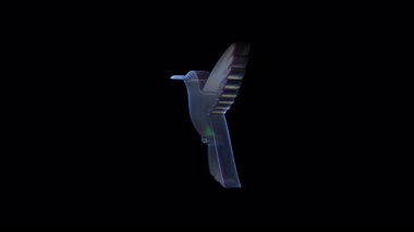 Holographic hummingbird performing fluid flying motion, rendering seamless animation loop against black background with iridescent digital rendering