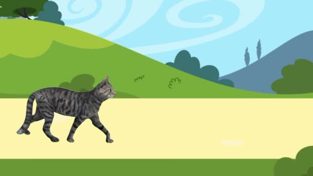 Naučte Poznávat Jména Zvířat Cat Animované Vzdělávací Videa Představí Jména — Stock video