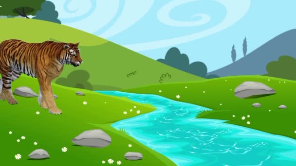 Aprende Reconocer Nombres Animales Tigre Vídeos Educativos Animados Para Introducir — Vídeos de Stock