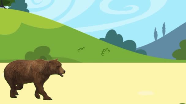 Aprenda Reconhecer Nomes Animais Urso Vídeos Educativos Animados Para Apresentar — Vídeo de Stock