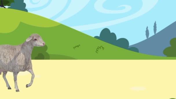 Aprenda Reconhecer Nomes Animais Ovelhas Vídeos Educativos Animados Para Apresentar — Vídeo de Stock