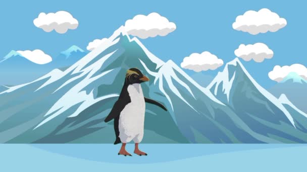 Ismerje Meg Állatneveket Pingvin Animációs Oktatóvideók Hogy Bemutassa Állatneveket Gyerekeknek — Stock videók