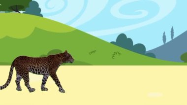 Ormanda leopar ve leoparın çizimi. Çocuklara hayvan isimleri vermek için eğitici animasyon videoları. 3-5 yaşlarındaki çocuklar için çok uygun.