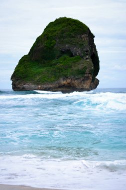 Sahilde sörf tahtasıyla yürüyen biri.