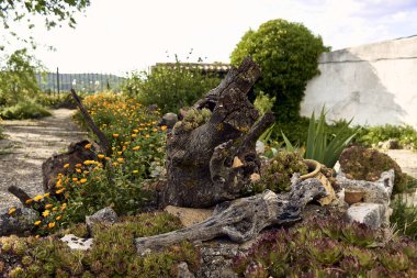 Çamurluklu sandık, arka planda montu olan geniş bir uçak. Marigoldlar (Calendula officinalis), zambaklar (Iris) ve sempervivum (Sempervivum) bir kasaba evinin avlusunda. Antika süslemeli bir taş dikme planı..