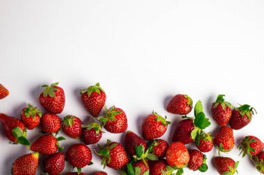 Yeşil yapraklı taze kırmızı çilekler. sağlıklı ve doğal yiyecekler.