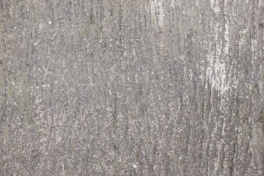 Katı gri semender arkaplanının doku deseni