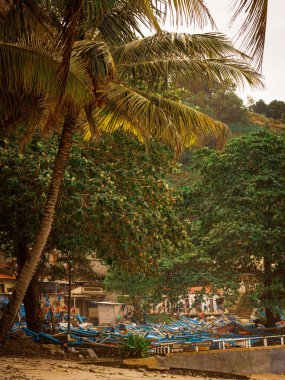 Hindistan cevizi ağaçlı sakin okyanus dalgaları. Güzel manzara, egzotik sahil manzarası..