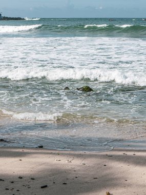 Endonezya sahilinde yeşil yosunlu kayalık sahilin güzel manzarası.