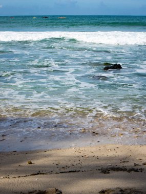 Endonezya sahilinde yeşil yosunlu kayalık sahilin güzel manzarası.