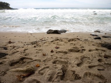 Açık gökyüzü ve kumlu tropikal plajlar. Kayalar ıslak kumda güneşin ışınlarını yansıtıyor..