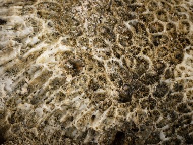 Denizde kayaların arka plan dokusu.