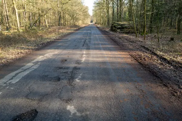 empty road in the morning sun