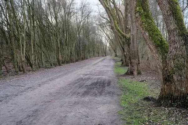 Güzel manzarada harika bir yol.