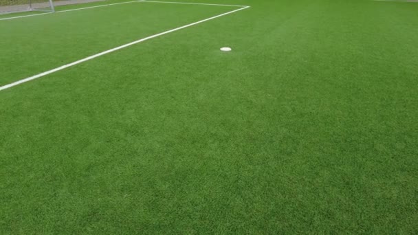 Campo Calcio Con Linee — Video Stock