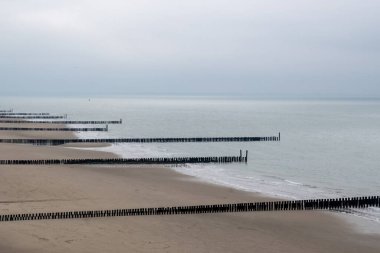 old wooden breakwaters on the north sea in Zeeland Netherlands clipart