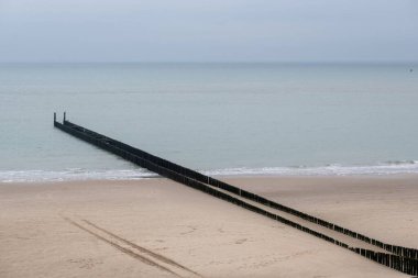 Zeeland Hollanda 'nın kuzey denizinde eski ahşap dalgalar