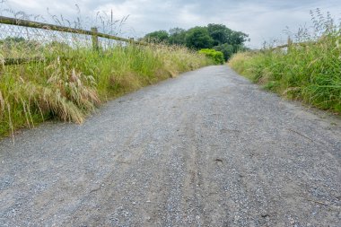 Sol ve sağ taraftaki çitlerle yontulmuş yol