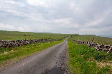 Taş duvar ve yol, Yorkshire, İngiltere manzarası