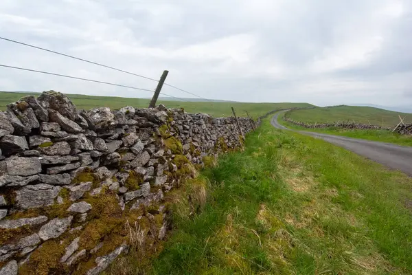 Taş duvar ve yol, Yorkshire, İngiltere manzarası