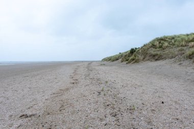 Hollanda, Oddorp 'taki kumlu sahil, kötü bir sonbahar havası var.