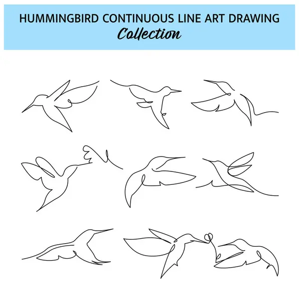 Bir dizi sinekkuşu sürekli bir çizgi çiziyor. Güzel dekorasyon, el yapımı elementler. Beyaz zemin üzerinde minimalist tarzın vektör illüstrasyonuName.