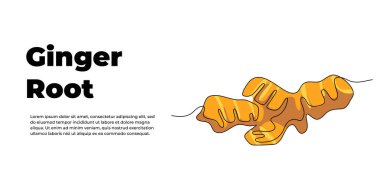 Ginger, sürekli bir çizgi tasarımı. Sebze sembolü kavramı. Beyaz arkaplana çizilmiş dekoratif ögeler.