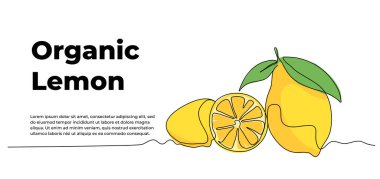Limon bir kesintisiz çizgi tasarımı. Meyve sembolü tasarım konsepti. Beyaz arkaplana çizilmiş dekoratif ögeler.