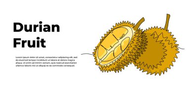Durian sürekli bir çizgi tasarımı. Meyve sembolü tasarım konsepti. Beyaz arkaplana çizilmiş dekoratif ögeler.