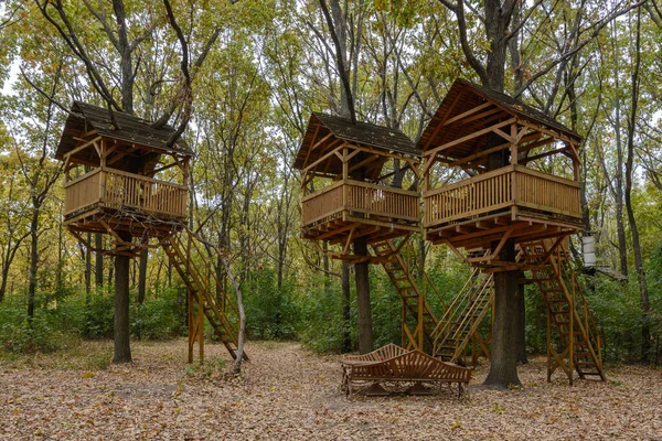 stock image Recreation area with wooden gazebos on a tree in the autumn park. Wooden houses on trees for recreation and entertainment. Autumn landscape in the oak forest.