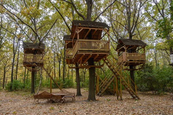 Rekreační Areál Dřevěnými Altánky Stromě Podzimním Parku Dřevěné Domy Stromech — Stock fotografie